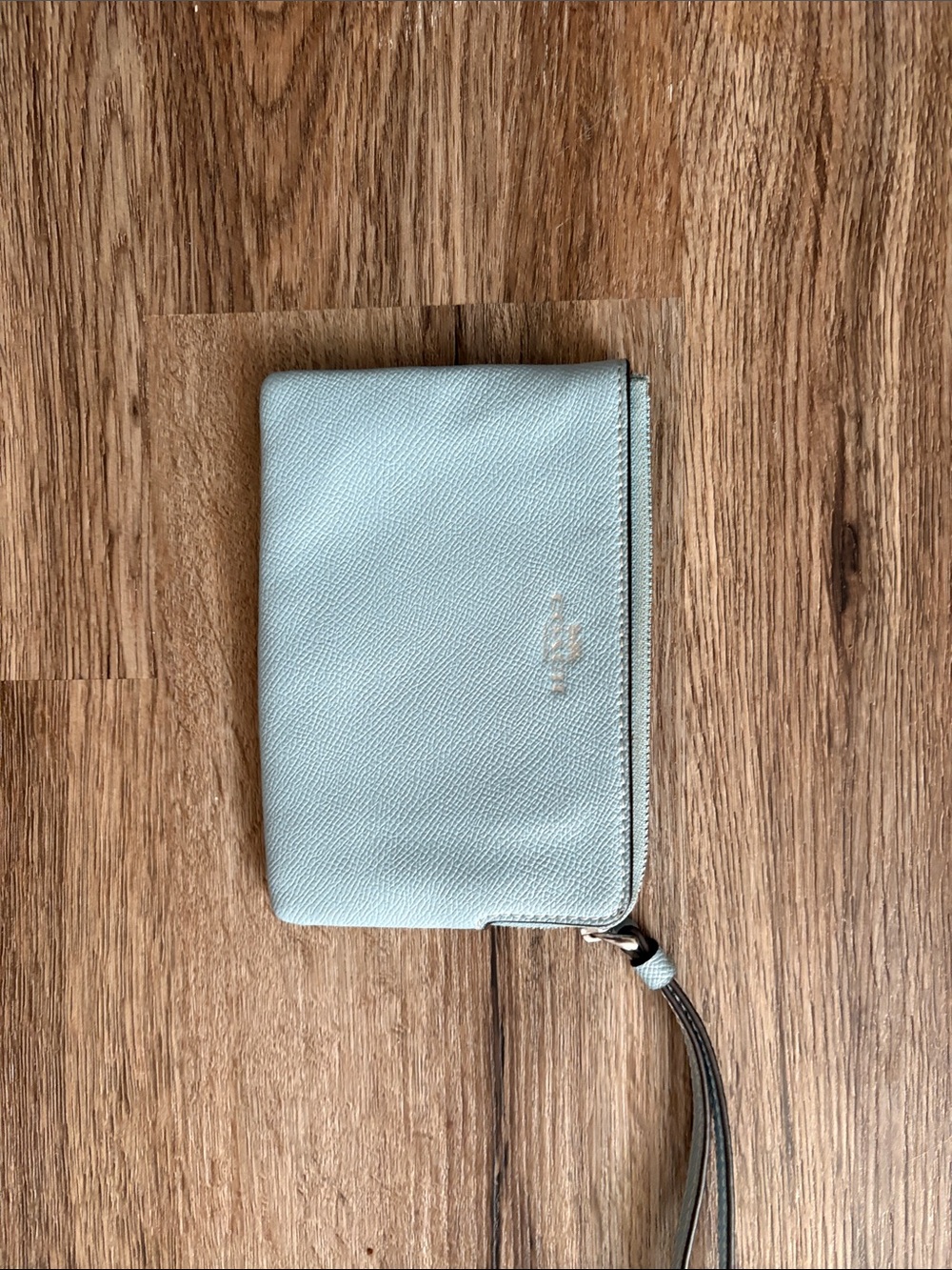 Coach Powder Blue Leather Wristlet